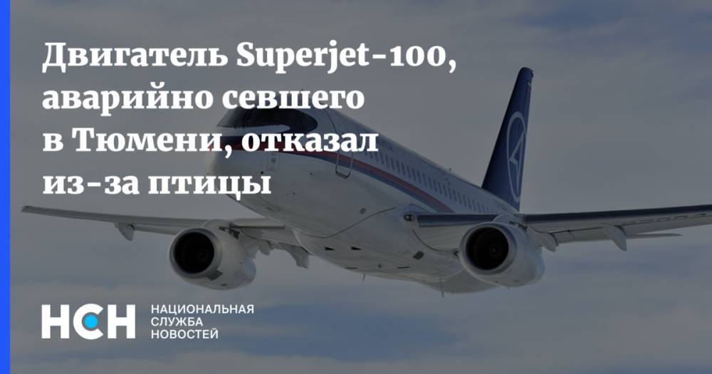 Двигатель Superjet-100, аварийно севшего в Тюмени, отказал из-за птицы