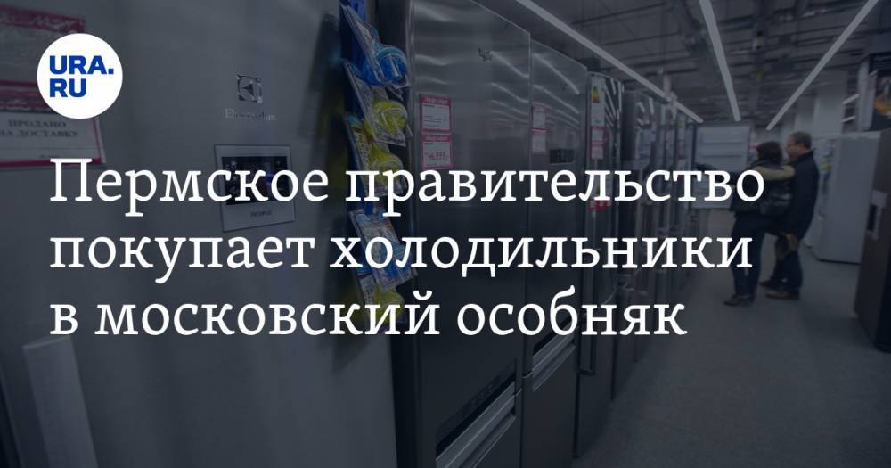 Пермское правительство покупает холодильники в московский особняк. ФОТО