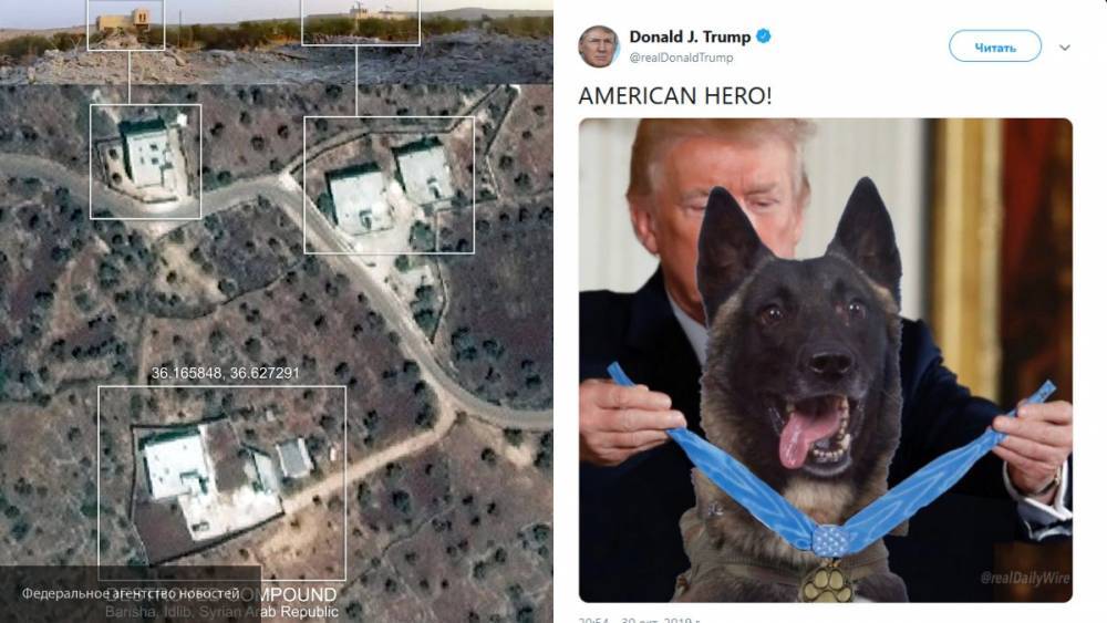 В Сети высмеяли награждение Трампом собаки за участие в «ликвидации» аль-Багдади
