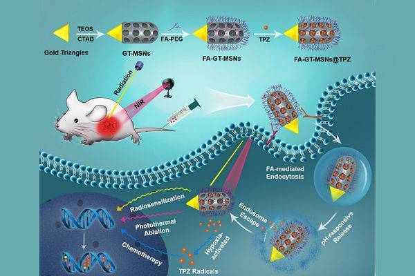 Китайские ученые придумали наноматериал для лечения рака печени