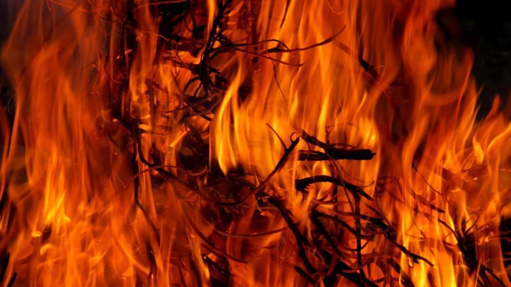 В Ленобласти девять пожарных менее чем за час потушили горящий дом