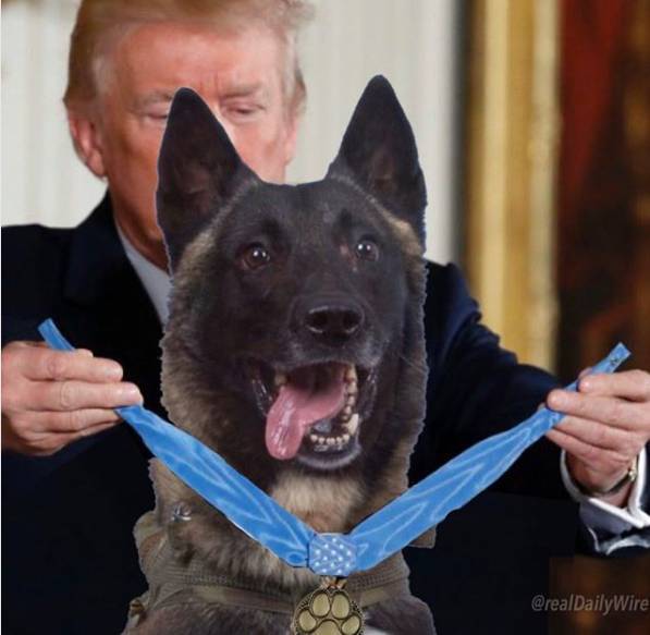 Дональд Трамп "наградил" пса-спецагента несуществующей медалью