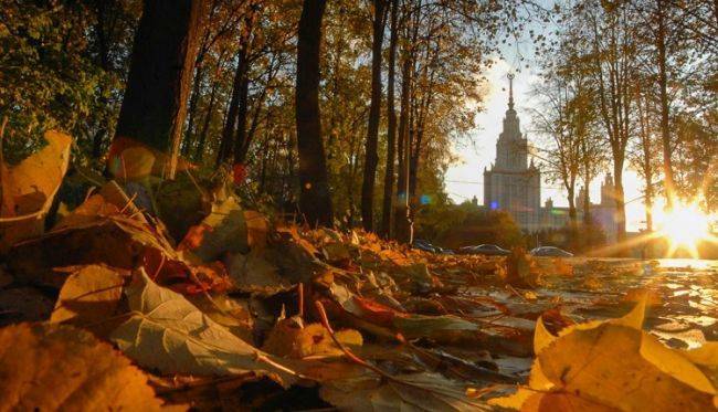 Синоптики обещают резкое потепление в Центральной России в ближайшие дни