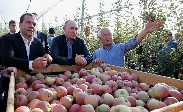 Gazeta Wyborcza (Польша): россияне тоскуют по польским яблокам