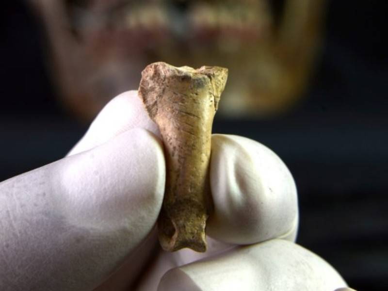 В Испании нашли ожерелье времён неандертальцев