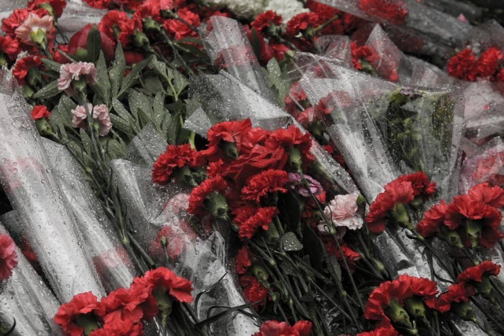Сотрудники Росгвардии с семьями почтили память погибших в годы ВОВ жителей Кронштадта