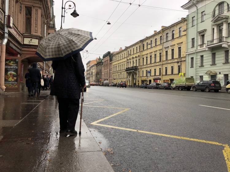 Теплый атмосферный фронт принес в Петербург небольшое потепление и осадки