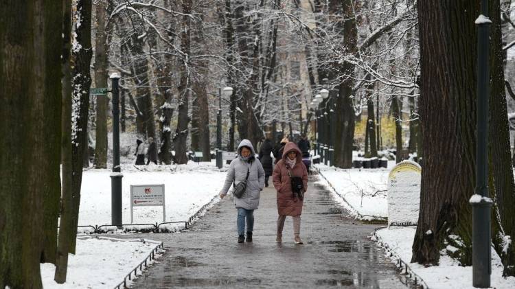 Мокрый снег с дождем и сильный ветер ожидаются в Петербурге 3 ноября
