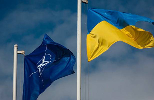 Политолог оценил призыв Украины к НАТО расширить сотрудничество