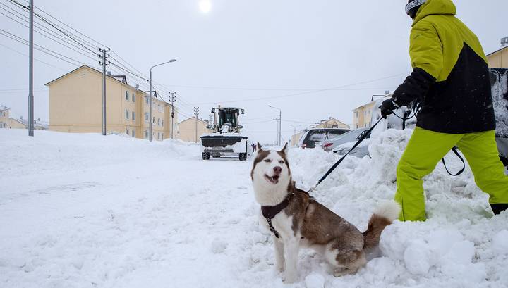 Снежный циклон нарушил энергоснабжение на Сахалине