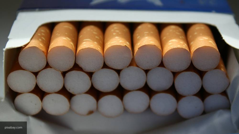 Госдума скоординировала минимальную цену за пачку сигарет в России