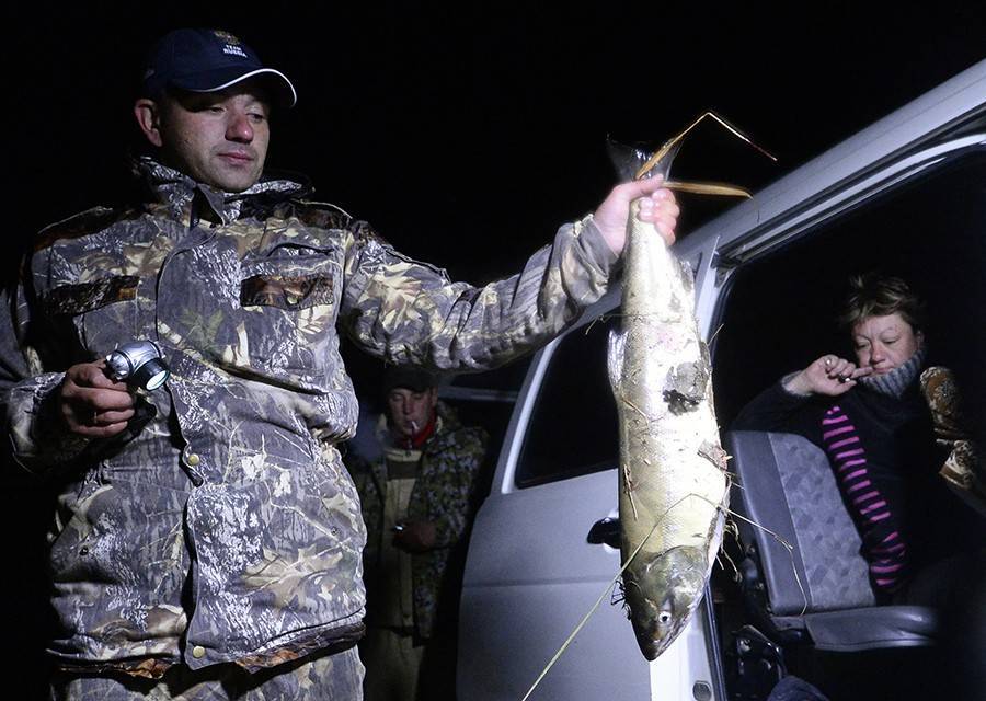 Под Волгоградом задержаны браконьеры, действовавшие под прикрытием НИИ