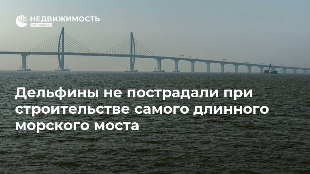 Дельфины не пострадали при строительстве самого длинного морского моста - realty.ria.ru - Китай - Гонконг - провинция Гуандун - Макао - Строительство - Экология