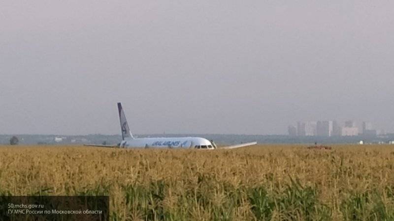Пилоты аварийно севшего самолета А321 в Подмосковье будут награждены в Кремле