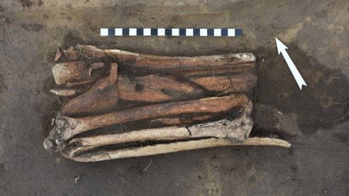Археологи нашли уникальные культовые предметы эпохи неолита в Сибири
