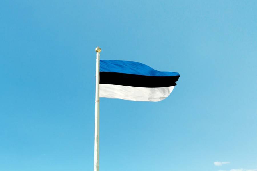 В Госдуме оценили призыв Эстонии вернуть "аннексированные территории"