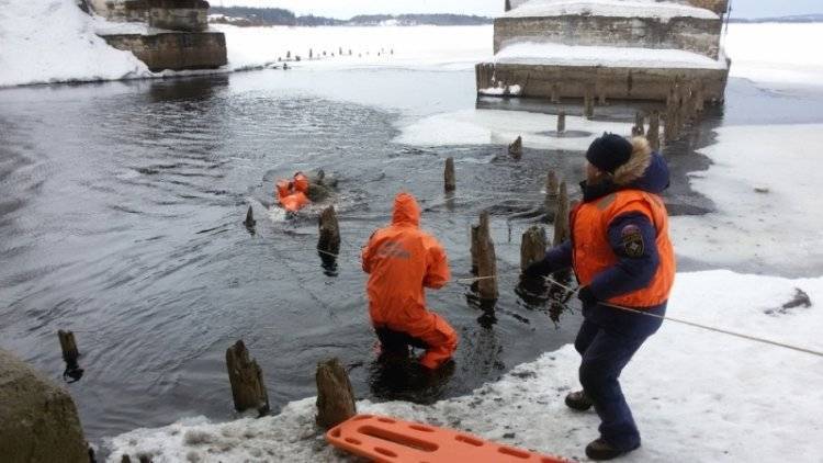 Спасатели вытащили провалившуюся под лед собаку в ЕАО