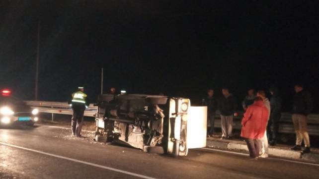 В Крыму дикий кабан спровоцировал серьёзную аварию на трассе Ялта-Севастополь