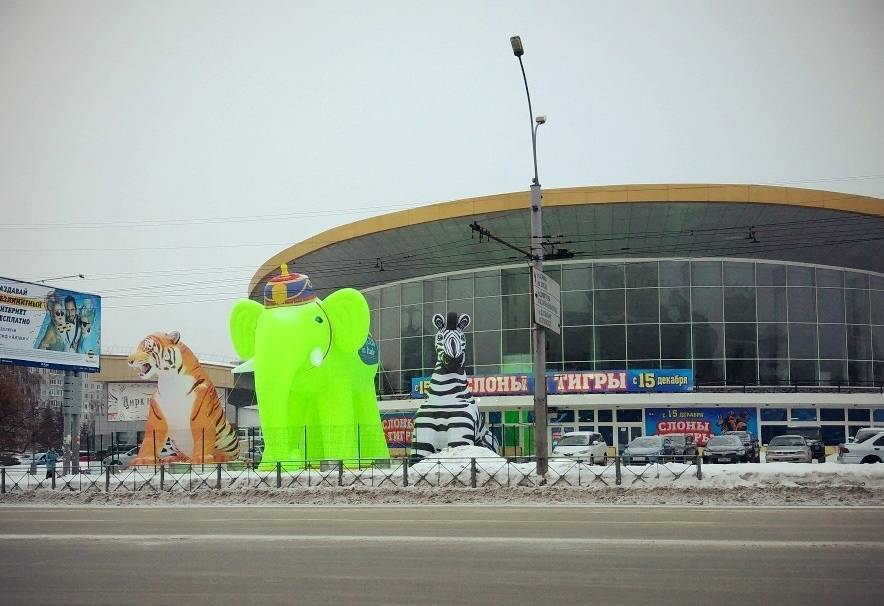 Бывший директор кемеровского цирка потерял работу в Новосибирске