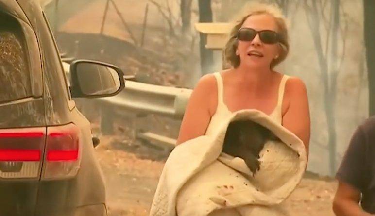Героическая незнакомка бросилась в пылающий лес, чтобы спасти коалу