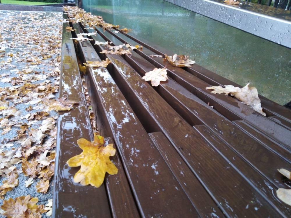 Жителей Ленобласти 21 ноября ожидают небольшие дожди и гололедица