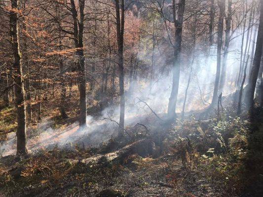 В МЧС Абхазии не могут объяснить причины новых возгораний в горах
