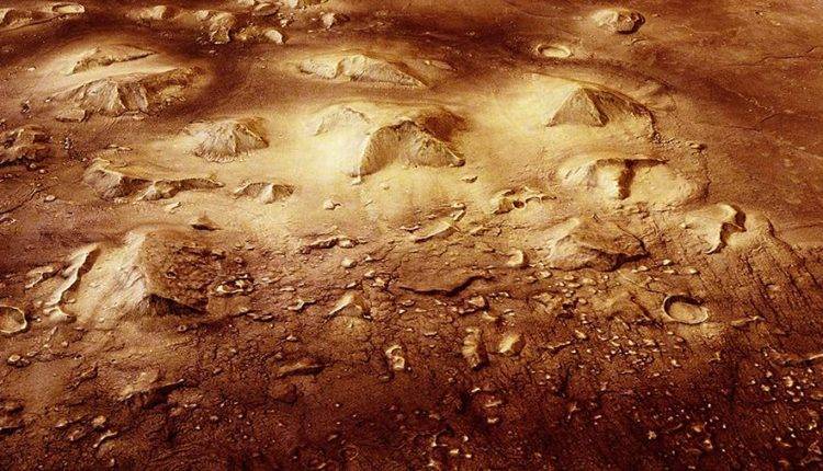 Ученый увидел насекомых на фото с Марса