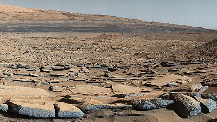 Ученый нашел на Марсе насекомых, но не все коллеги ему верят