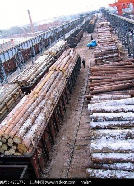 В Сибири пресекли контрабанду лесоматериалов за рубеж на 600 млн рублей