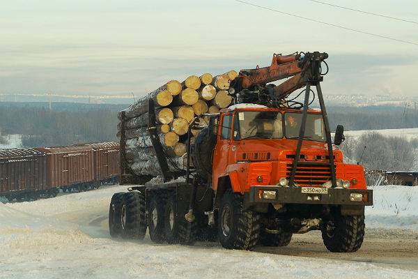 МВД и ФСБ пресекли в Сибири крупную контрабанду леса