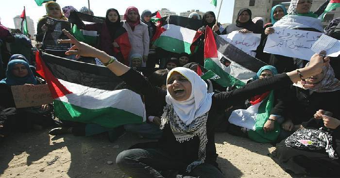 Голландия выступает активно против Газы. Дипломатическая победа Израиля. Палестина останется без голландских денег