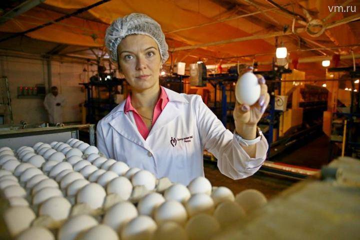Птицефабрики Подмосковья произвели 100 миллионов яиц с начала года