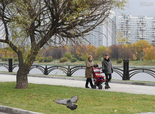 Благоустройство 14 парков завершили в Московской области