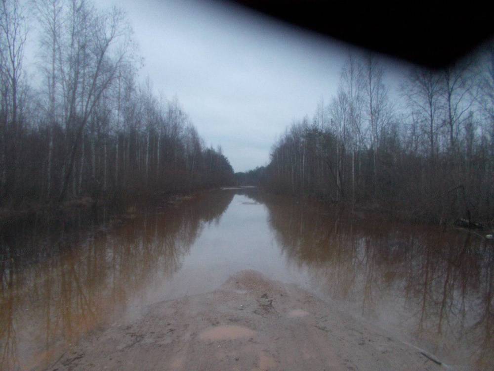 На востоке Ленобласти ливни затопили дорогу возле деревни Замошье