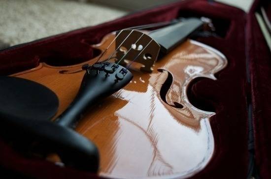 Госдума приняла закон о маркировке редких музыкальных инструментов