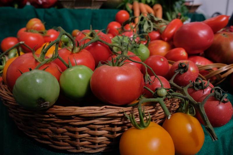 Ученые объяснили, как томаты влияют на репродуктивную функцию мужчин