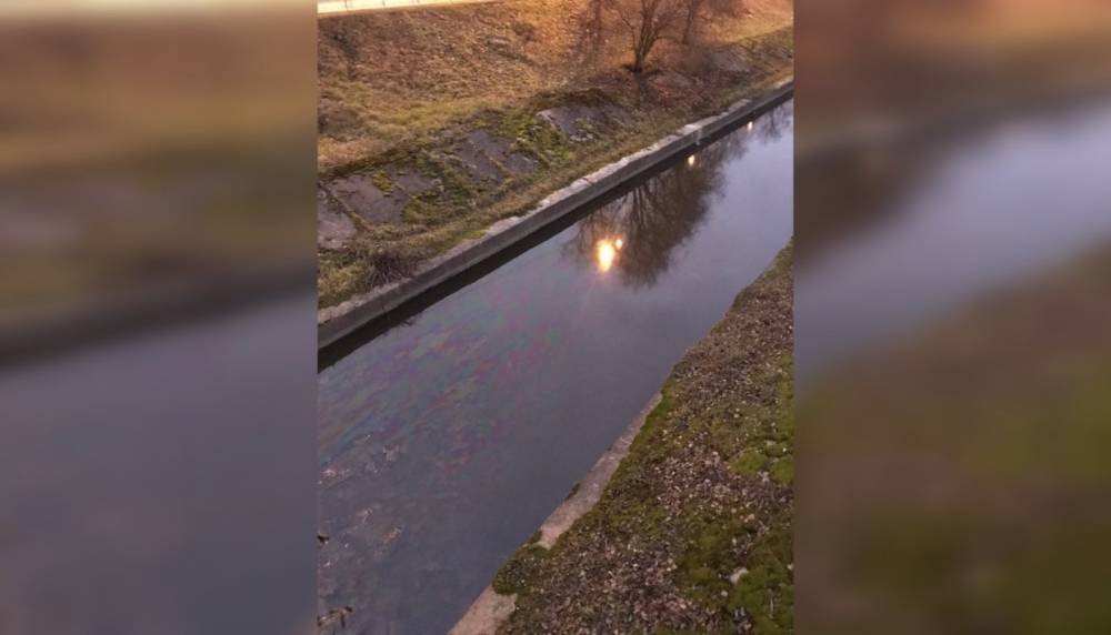 Петербуржцы обеспокоены огромными пятнами из нефтепродуктов на реке Волковке