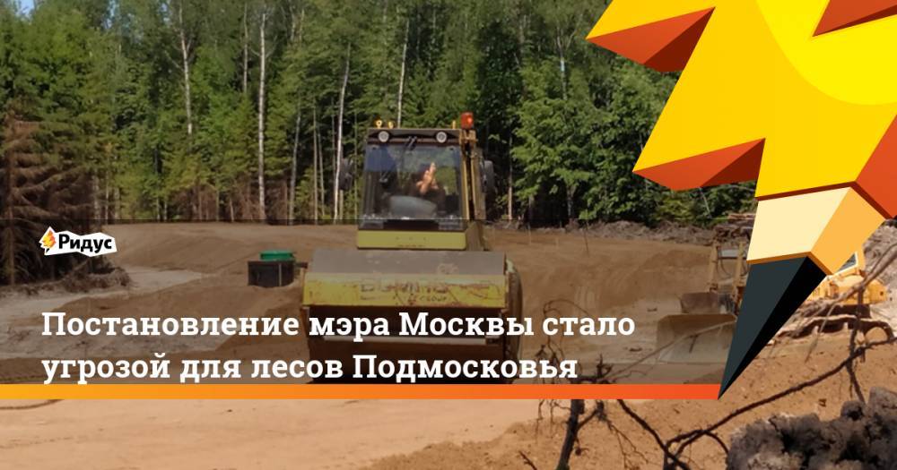 Постановление мэра Москвы стало угрозой для лесов Подмосковья