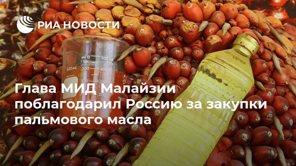 Глава МИД Малайзии поблагодарил Россию за закупки пальмового масла