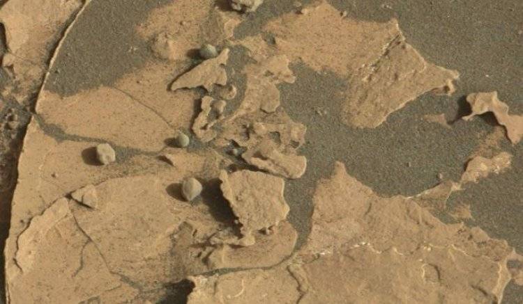 Американский ученый увидел насекомых на фотографиях с Марса
