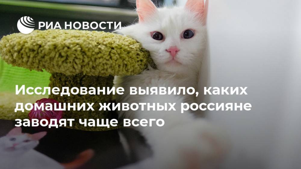 Исследование выявило, каких домашних животных россияне заводят чаще всего