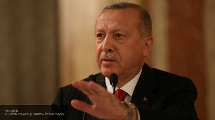 Эрдоган проявил качества грамотного лидера в ходе борьбы с курдскими боевиками в Сирии