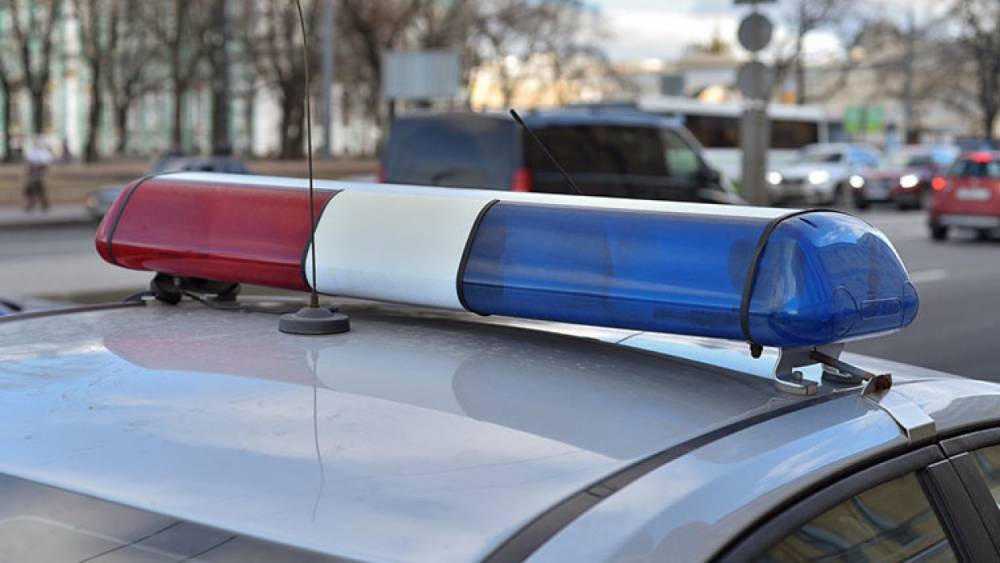 Полиция задержала подозреваемых в ограблении охранника на набережной Фонтанки
