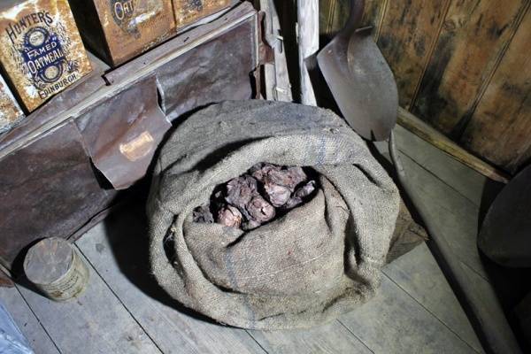 В Антарктиде нашли столетний мешок идеально сохранившегося лука