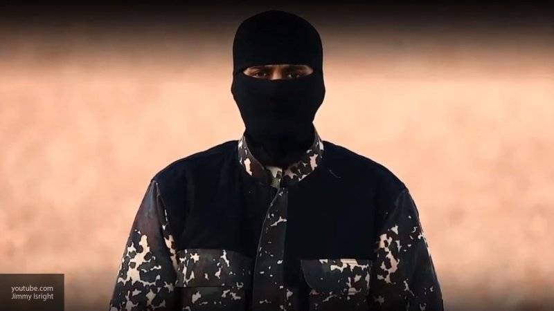 Причастный к терактам в РФ и Германии боевик ИГИЛ схвачен в Сирии