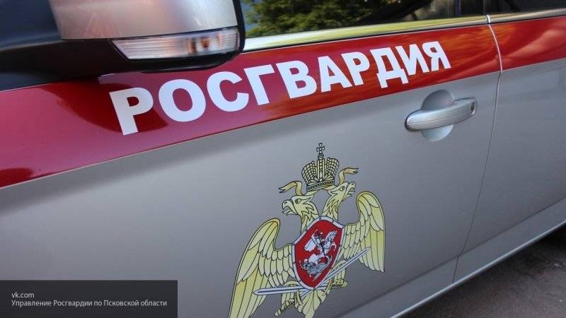 Сотрудники Росгвардии задержали водителей, наехавших на инспектора ГИБДД в Подмосковье