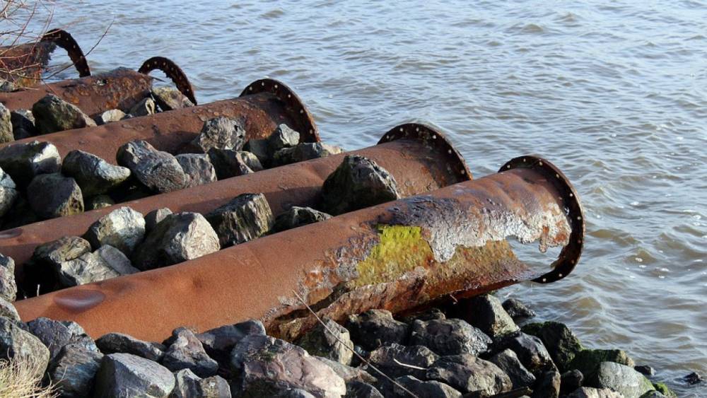 Прокуратура выявила загрязнение залива Мурманским рыбным портом