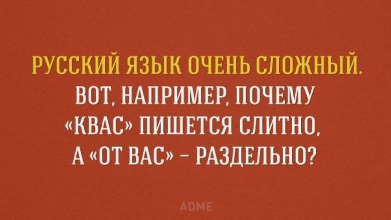 Вопрос дня: можно ли выучить русский язык, если его не знают даже учителя?