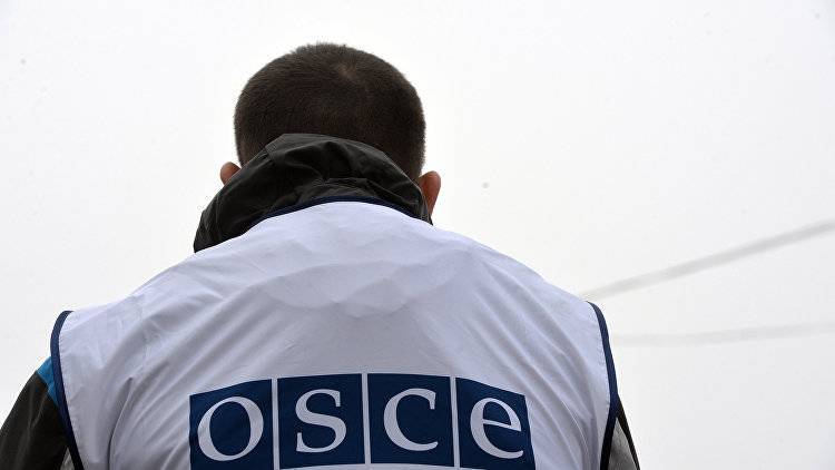 На Украине заявили, что пустят ОБСЕ в Крым только по своим законам