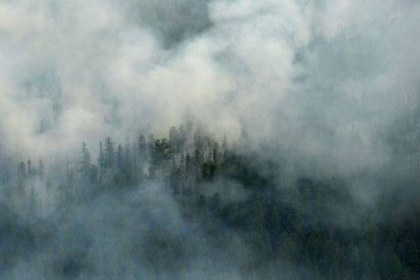 В Абхазии оценили ущерб, нанесенный пожарами в горах